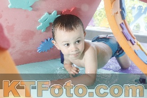 Photo 4223019