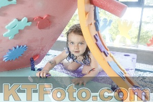 Photo 4223020