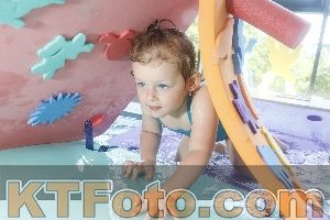 Foto 4223022