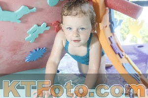 Foto 4223023