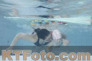 Foto 4223032