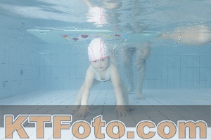 Foto 4223041