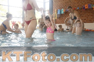 Foto 4223062