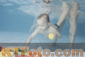 Foto 4223173