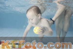 Foto 4223174