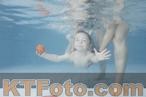 Foto 4223175