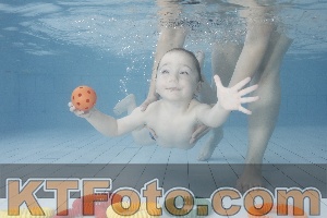 Foto 4223176