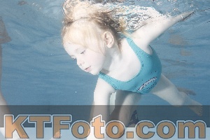 Foto 4223238