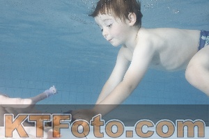 Photo 4223239