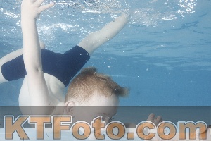 Photo 4223242