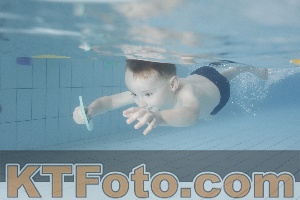 Photo 4223262