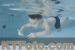 Photo 4223263