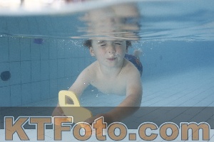 Photo 4223265