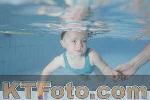 Photo 4223268