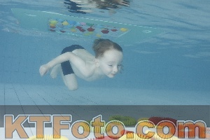 Photo 4223301