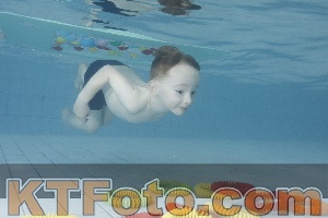 Photo 4223302