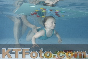 Photo 4223304