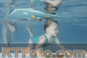 Photo 4223305