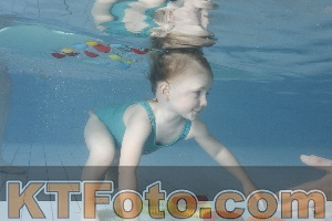 Photo 4223306