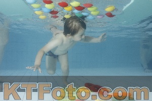 Photo 4223308
