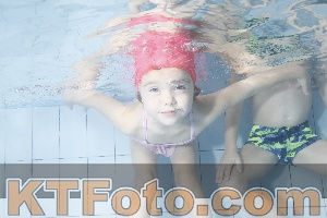 Photo 4223357