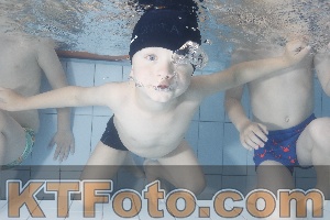 Photo 4223363