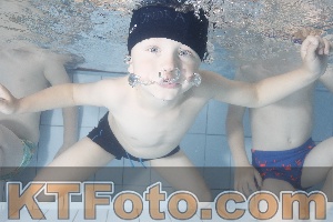 Photo 4223364