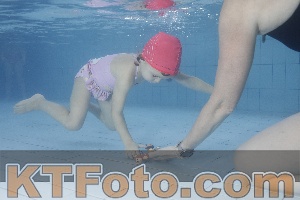 Photo 4223404