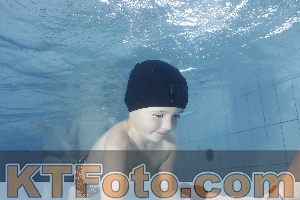 Photo 4223410