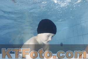 Photo 4223411