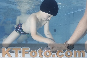 Photo 4223413