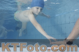 Photo 4223414