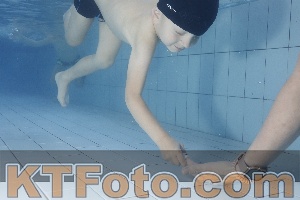 Photo 4223421