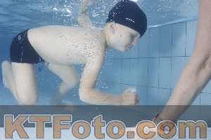 Photo 4223423