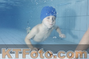 Photo 4223425