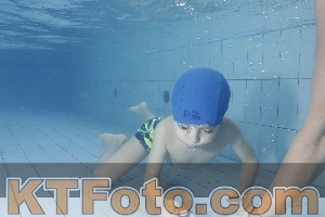 Photo 4223427