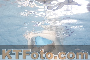 Photo 4223441