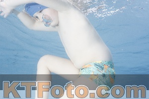 Photo 4223445