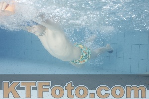 Photo 4223446