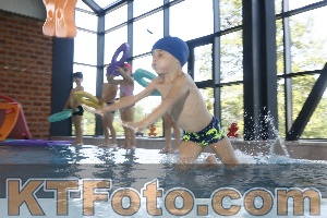 Photo 4223451