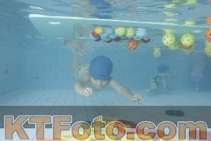 Foto 4223465