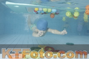 Photo 4223466