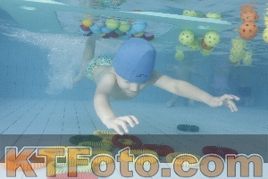 Photo 4223467