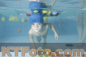 Photo 4223472