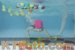 Photo 4223473