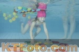 Photo 4223475