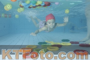 Photo 4223479