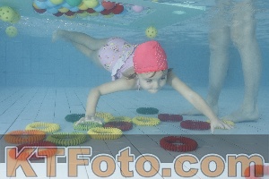 Photo 4223481