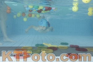 Photo 4223483