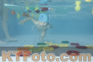 Photo 4223485